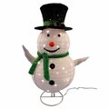 Sienna YARD DECOR SNOWMAN LED WW R640491W